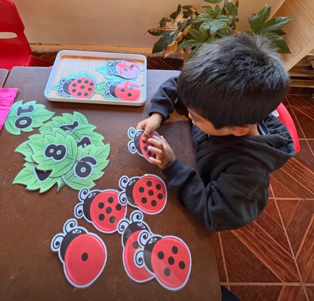 Niño asociando mariquitas con su número